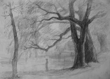 Drawing titled "Old Willows" by Vladimir Zagitov, Original Artwork