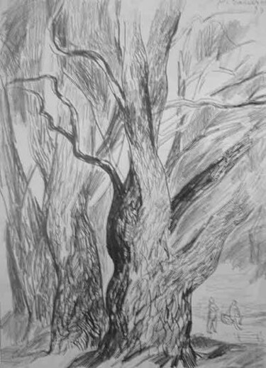 Dessin intitulée "Big Willow" par Vladimir Zagitov, Œuvre d'art originale
