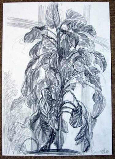 Disegno intitolato "plant" da Vladimir Zagitov, Opera d'arte originale