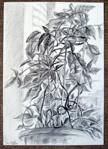 Dessin intitulée "plant" par Vladimir Zagitov, Œuvre d'art originale
