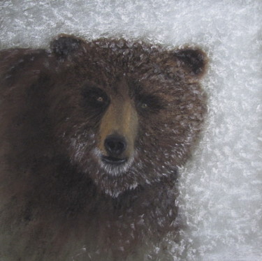 Dessin intitulée "ours" par Véronique Lenfant, Œuvre d'art originale, Pastel