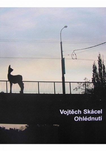 Sculpture titled "Lookingback" by Vojtěch Skácel, Original Artwork