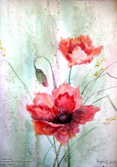 Peinture intitulée "Маків цвіт" par Volodimir Kudlai, Œuvre d'art originale, Aquarelle