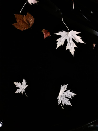 leaves Fotografia intitolato "leaves" da Volovia, Opera d'arte originale, Fotografia digitale