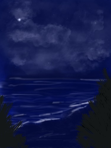 Arts numériques intitulée "Nuit de mer" par Fanny L, Œuvre d'art originale