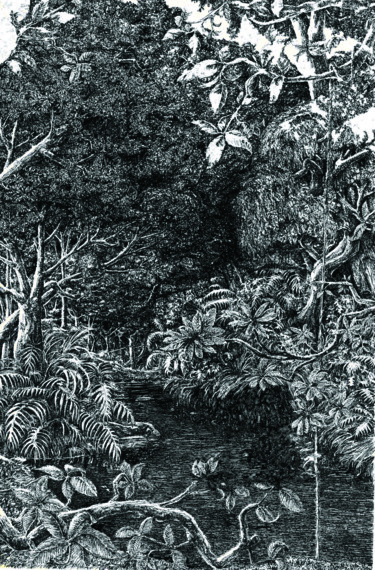 Rysunek zatytułowany „Riacho escuro” autorstwa Voz Khumallo, Oryginalna praca, Długopis żelowy
