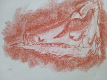 Disegno intitolato "Crâne" da Virginie Piatti, Opera d'arte originale, Matita