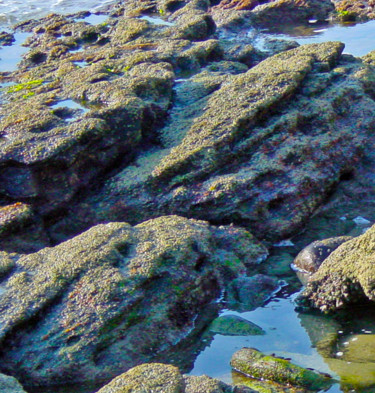 Fotografie mit dem Titel "Stones by Water.jpg" von Vanessa Rodrigues, Original-Kunstwerk