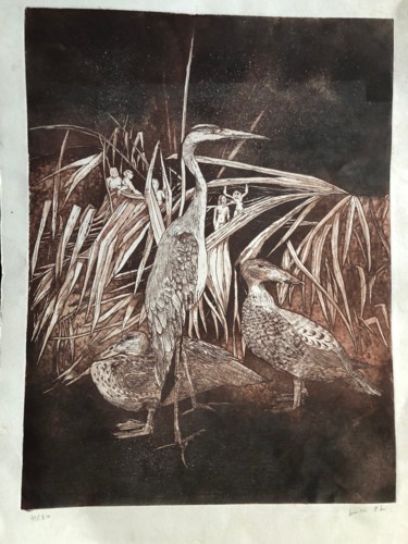 Prenten & gravures getiteld "heron et canards" door Viviane Fasel, Origineel Kunstwerk, Ets