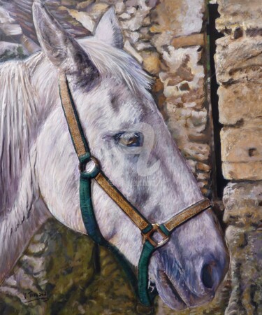 Painting titled "portrait de cheval…" by V. Trabaud, Original Artwork, Acrylic