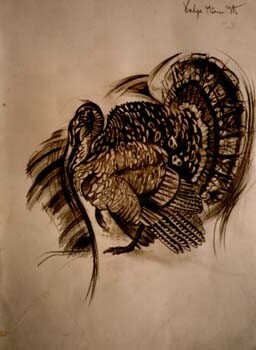 Drawing titled "The Turkey" by Vulpe Mircea, Original Artwork