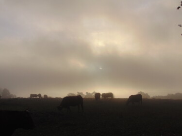 Photographie intitulée "brume1" par Bernard Waechter, Œuvre d'art originale, Photographie non manipulée