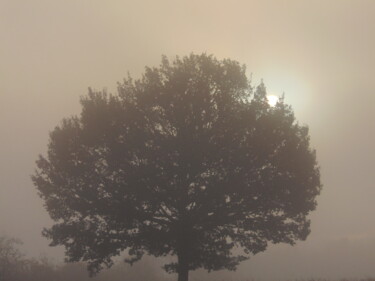 Photography titled "brume2" by Bernard Waechter, Original Artwork, Non Manipulated Photography