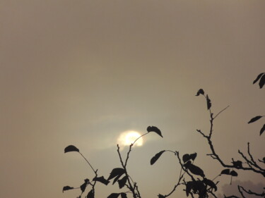 Fotografia zatytułowany „brume 3” autorstwa Bernard Waechter, Oryginalna praca, Fotografia nie manipulowana