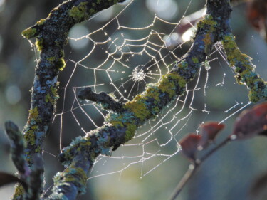 Photographie intitulée "toile29" par Bernard Waechter, Œuvre d'art originale, Photographie non manipulée