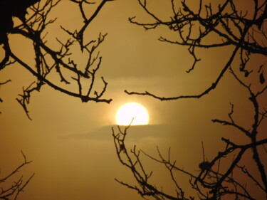 Fotografía titulada "brume7" por Bernard Waechter, Obra de arte original, Fotografía no manipulada