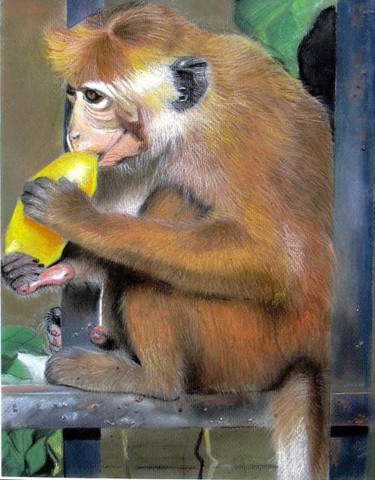Картина под названием "eating a mango" - Nimali Dissanayaka, Подлинное произведение искусства, Пастель