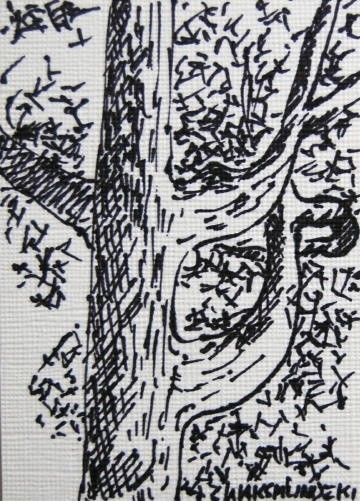 Drawing titled "OAK TREE" by Zbigniew Waksmundzki, Original Artwork, Other