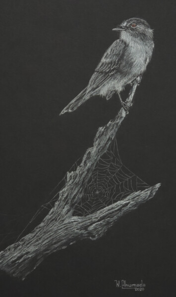 Drawing titled "Fly Cast" by Walter Ahumada, Original Artwork, Pencil
