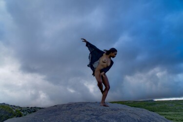 Fotografía titulada "Muri Dance in Fligh…" por Walter Bosque, Obra de arte original, Fotografía digital