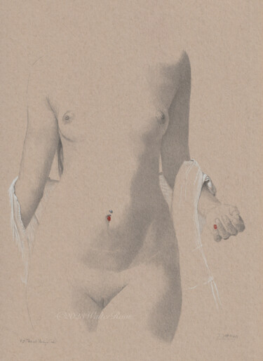 图画 标题为“"Torso mit Piercing…” 由Walter Roos, 原创艺术品, 铅笔