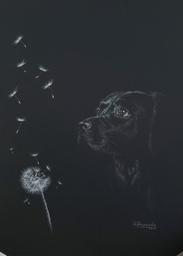 Brisa ingenua Dessin intitulée "Brisa ingenua" par Walter Ahumada, Œuvre d'art originale, Crayon