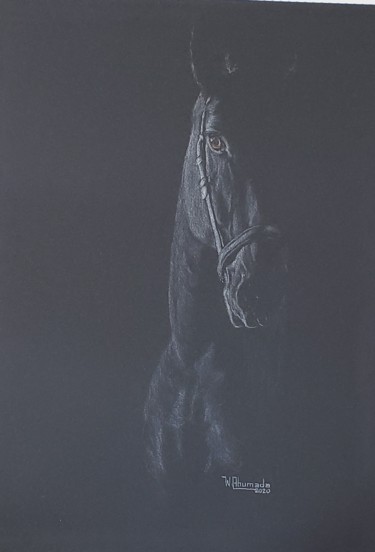 Rebelde "Rebelde" başlıklı Resim Walter Ahumada tarafından, Orijinal sanat, Pastel