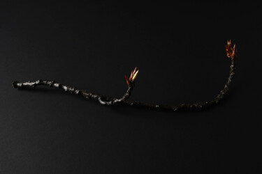 Dessin intitulée "La branche" par Suo Yuan Wang, Œuvre d'art originale, Encre