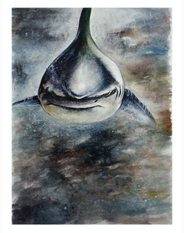 Painting titled "shark-1.jpg" by Robert Décurey, Original Artwork, Watercolor