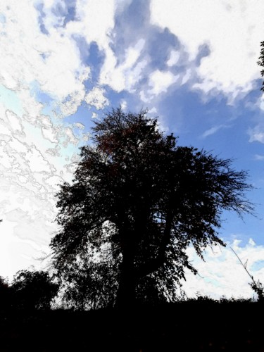 Fotografie mit dem Titel "Baum 2" von Stephan Rodriguez Warnemünde, Original-Kunstwerk, Digitale Fotografie