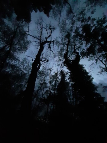 Fotografie mit dem Titel "Die Nacht 2" von Stephan Rodriguez Warnemünde, Original-Kunstwerk, Digitale Fotografie