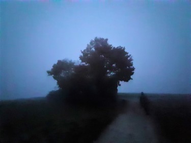 Photography titled "Der Weg (2)" by Stephan Rodriguez Warnemünde, Original Artwork, Digital Photography