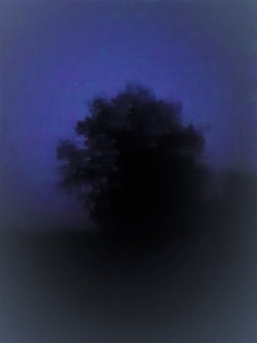 Fotografie mit dem Titel "Baum 6" von Stephan Rodriguez Warnemünde, Original-Kunstwerk, Digitale Fotografie