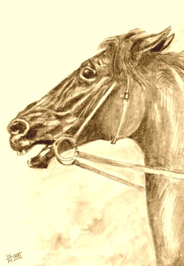 Rysunek zatytułowany „Głowa konia” autorstwa Waldemar Wojtowicz, Oryginalna praca, Pastel