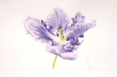 Painting titled "Tulipe perroquet" by Christophe Moreau, Original Artwork, Watercolor