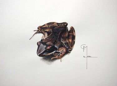 Painting titled "Grenouille" by Christophe Moreau, Original Artwork