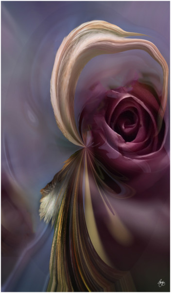Photography titled "The Rose and the He…" by Wayne King, Original Artwork