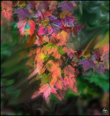 Photography titled "Wind in the Maple" by Wayne King, Original Artwork