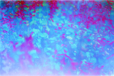Digitale Kunst mit dem Titel "Poisoned candies -0…" von Weedsxyz, Original-Kunstwerk, Analog Fotografie