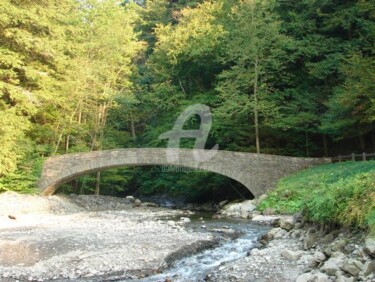 Photography titled "BRIDGE AT COW SHEDS…" by Redreamer, Original Artwork