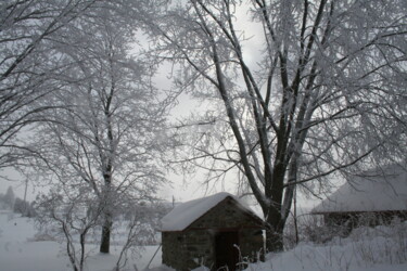 Photography titled "WINTERS GRIP" by Redreamer, Original Artwork