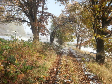 Photography titled "Herbstschnee 1" by Asupta, Original Artwork, Digital Photography