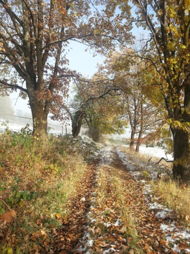 Photographie intitulée "Herbstschnee 2" par Asupta, Œuvre d'art originale, Photographie numérique