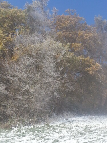 Fotografie mit dem Titel "Herbstschnee 4" von Asupta, Original-Kunstwerk, Digitale Fotografie