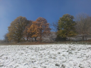 Fotografie mit dem Titel "Herbstschnee 8" von Asupta, Original-Kunstwerk, Digitale Fotografie