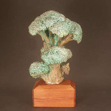 Scultura intitolato "Big Shady BroccoliT…" da Wichert Van Engelen / Frozensteel.Nl, Opera d'arte originale, Bronzo