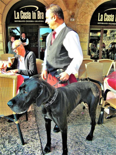 Fotografia zatytułowany „Waiter with a dog f…” autorstwa W. Marek Cholody, Oryginalna praca, Manipulowana fotografia