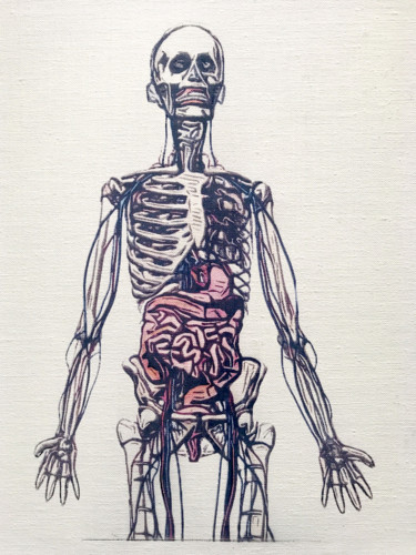 Desenho intitulada "Human Anatomical Sk…" por Wilf Tilley, Obras de arte originais, Tinta