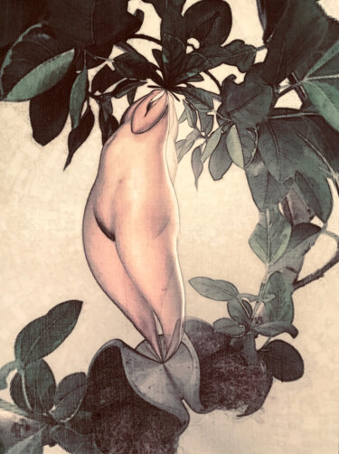 Peinture intitulée "Botanical, Female N…" par Wilf Tilley, Œuvre d'art originale, Peinture numérique