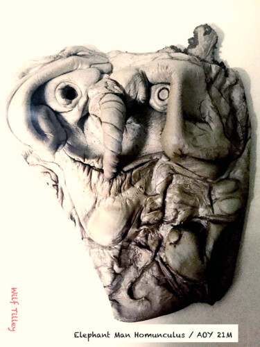 Escultura titulada "Elephant Man Homunc…" por Wilf Tilley, Obra de arte original, Arcilla Montado en Panel de madera